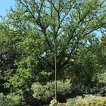 דירה La Grande Quercia פרוג'ה