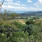 La Grande Quercia *