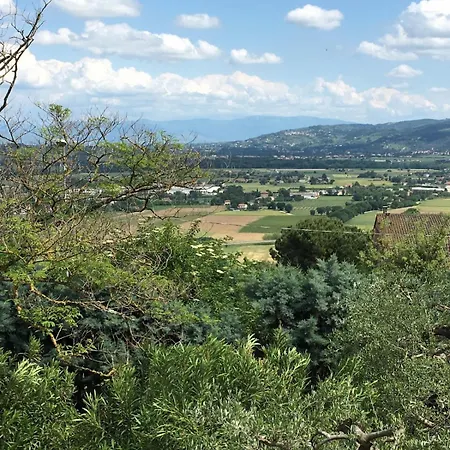 La Grande Quercia *