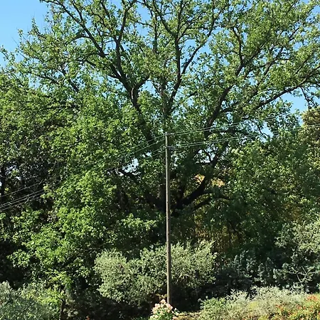 公寓 La Grande Quercia 佩鲁贾