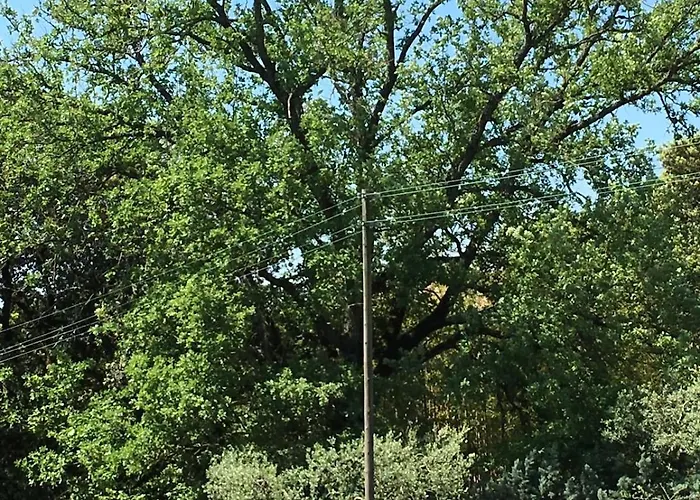 Апартаменты La Grande Quercia Перуджа